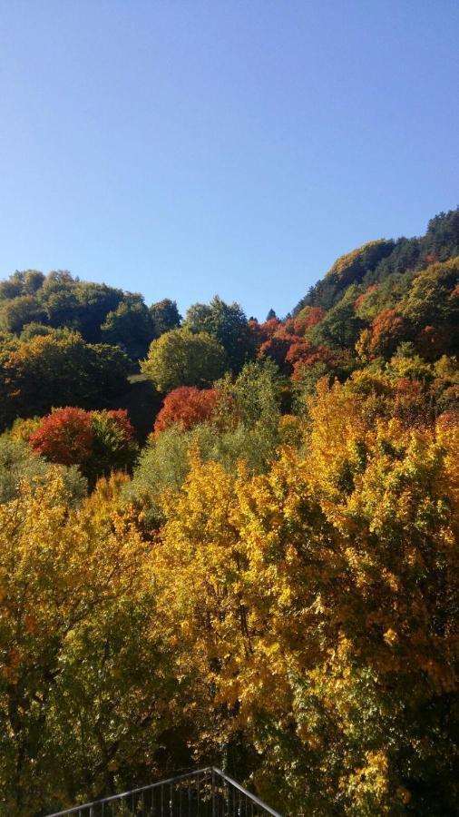 B&B Il Ghiro Roccaraso Bagian luar foto